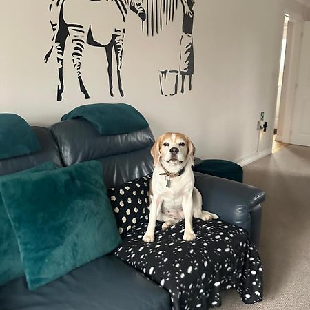 Hereford - Finch House - Modern 4 Bedroom House Located In South Hereford, Dog Friendly With Nearby Countryside, Pool Table, Sleeps Up To 10 Guests - Hosted By Rentmyhouse Екстер'єр фото