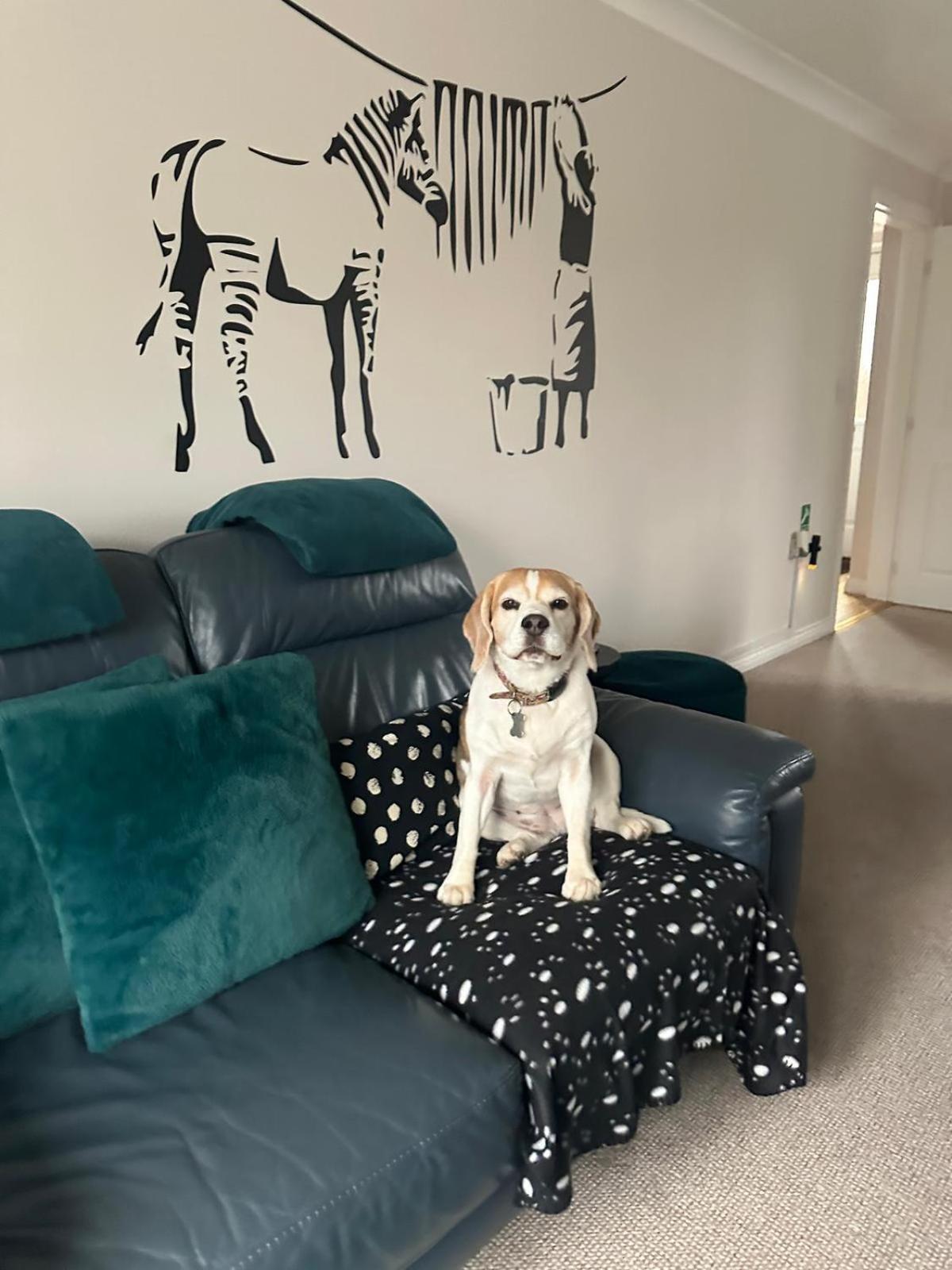 Hereford - Finch House - Modern 4 Bedroom House Located In South Hereford, Dog Friendly With Nearby Countryside, Pool Table, Sleeps Up To 10 Guests - Hosted By Rentmyhouse Екстер'єр фото