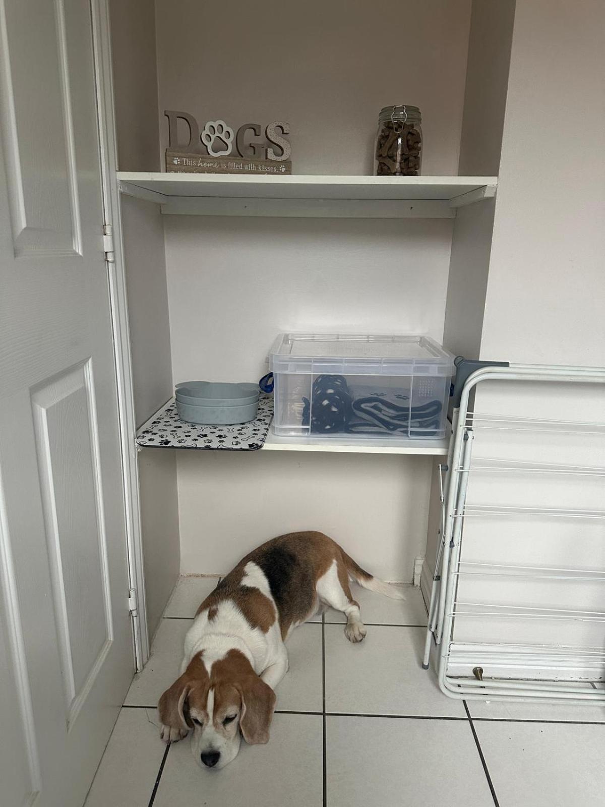 Hereford - Finch House - Modern 4 Bedroom House Located In South Hereford, Dog Friendly With Nearby Countryside, Pool Table, Sleeps Up To 10 Guests - Hosted By Rentmyhouse Екстер'єр фото