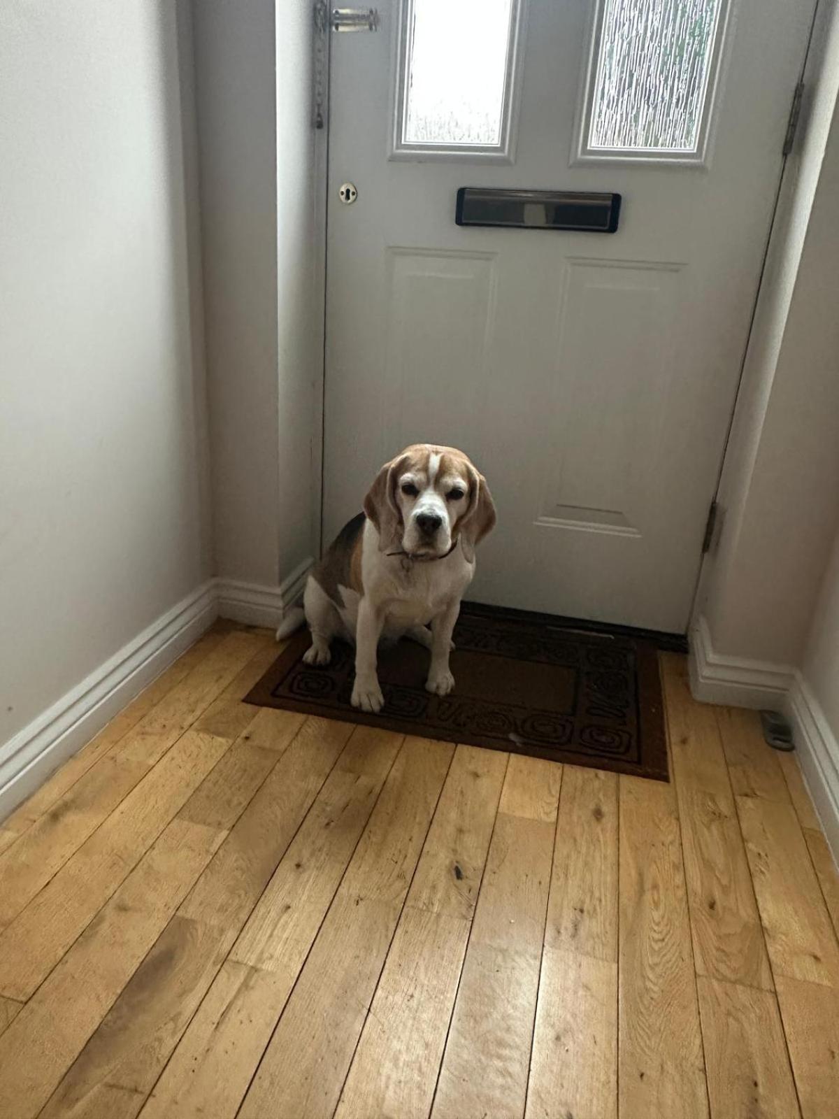 Hereford - Finch House - Modern 4 Bedroom House Located In South Hereford, Dog Friendly With Nearby Countryside, Pool Table, Sleeps Up To 10 Guests - Hosted By Rentmyhouse Екстер'єр фото