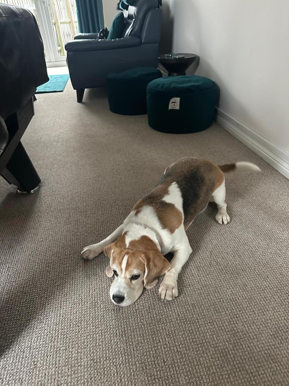 Hereford - Finch House - Modern 4 Bedroom House Located In South Hereford, Dog Friendly With Nearby Countryside, Pool Table, Sleeps Up To 10 Guests - Hosted By Rentmyhouse Екстер'єр фото